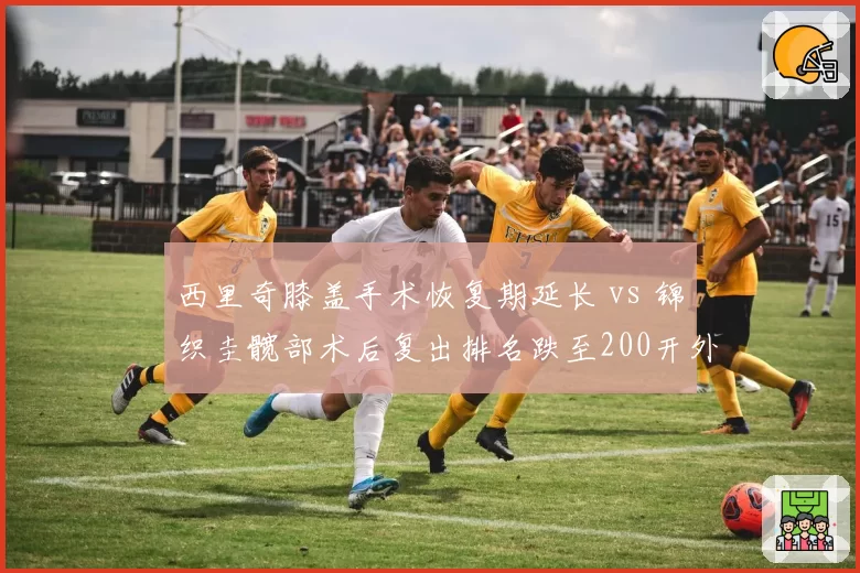 西里奇膝盖手术恢复期延长 vs 锦织圭髋部术后复出排名跌至200开外，亚洲老将伤病困局
